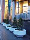Гостиница Отель Sharf Санкт-Петербург-0